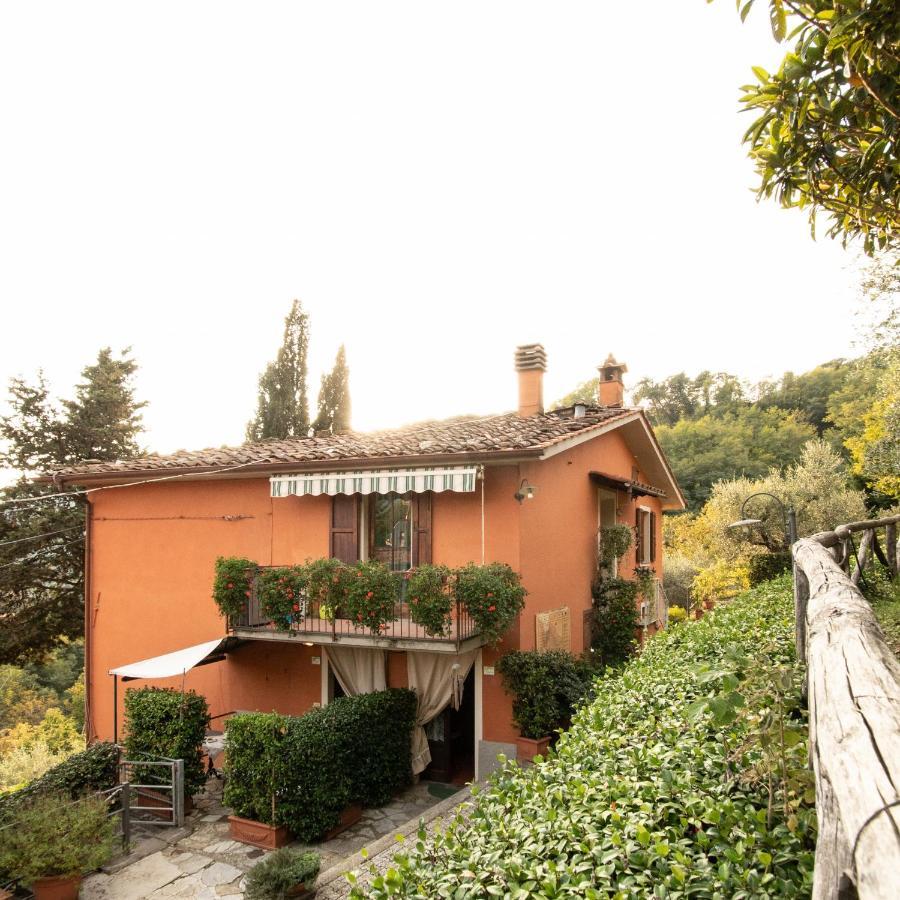 Casetta Di Butia, Mimosa Apartment Borgo a Mozzano Exterior foto